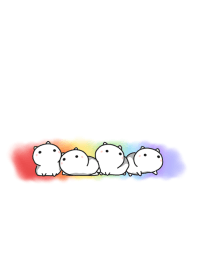 White cat and colorful theme