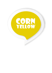 Corn Yellow Button In White V.3(JP)