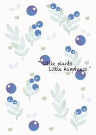 Little blue plants 18