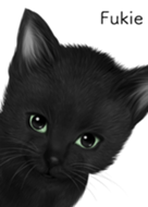 Fukie Cute black cat kitten