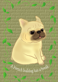 A French bulldog has a break