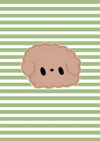 (nenerin Toy Poodle theme1)