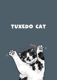 tuxedocat2 - dark steel blue