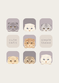 CATS - Scottish fold - PURPLE GRAY