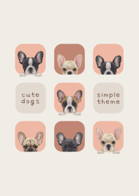 DOGS - French bulldog - SALMON PINK