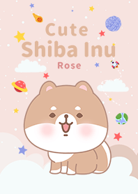 misty cat-Shiba Inu Galaxy Dry rose