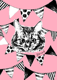 I look up at the sky.Somali