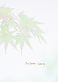 Autumn leaves Theme ver.Japan 2