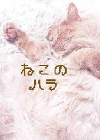 ねこのハラ