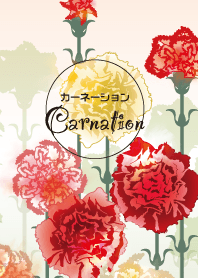 Carnation