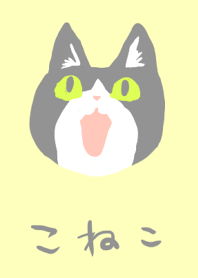 Ktten koneko