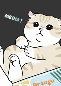 neko single17 / carbon black