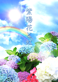 - Hydrangea & Rainbow -