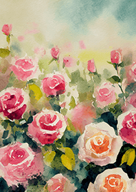 Beautiful rose flower(R4363)