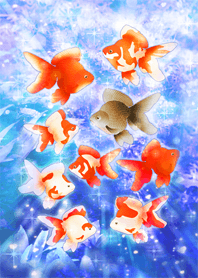 Big money goldfish calling fortune