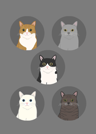 喵！喵！(霧灰色)