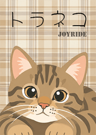 トラネコ 猫×チェック柄