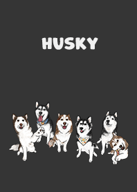 husky1 / black