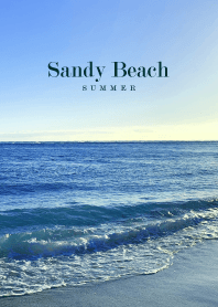 Sandy Beach HAWAII - SEA 28