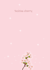 March's birth flower,Yoshino cherry.