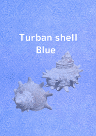 Turban shell BLUE