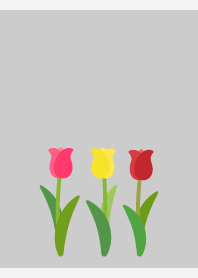 Spring tulips on white