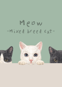 Meow - Mixed breed cat 02 - DUSTY GREEN