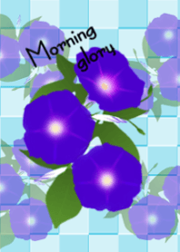 朝顔
