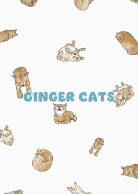 gingercats3 / white