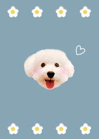 ブルーベージュ ❤︎