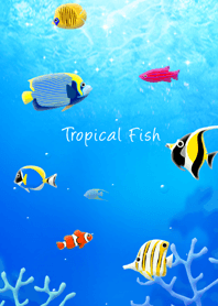 - Tropical Fish - #cool