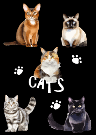 unique cats on black