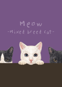 Meow -Mixed breed cat 02- ANCIENT PURPLE