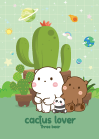 Three Bears Cactus  Lover Friendly