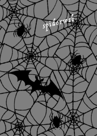 【運気をあげる】蜘蛛の巣