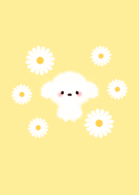 Daisy and toy poodle
