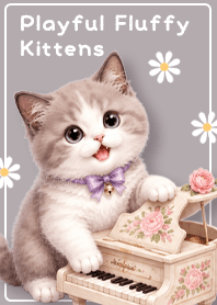 Playful Fluffy Kittens!