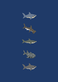 little sharks(Navy blue)
