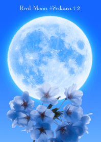 Real Moon#Sakura 1-2