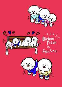 Bichon friseのPanちゃん大人の着こなし