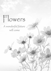 The gentle scent of cosmos5.