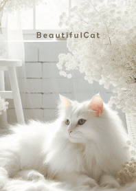 Beautiful Cat-CUTE FLOWER