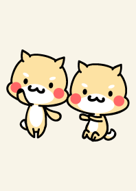 かわいい柴犬