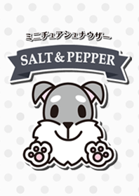 ミニチュアシュナウザー SALT&PEPPER