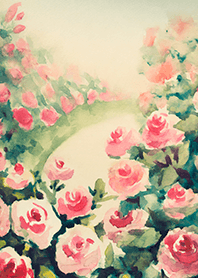 Beautiful rose flower(R4038)