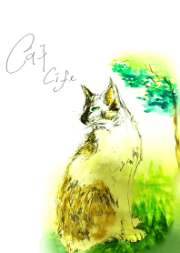 Cat in the green.