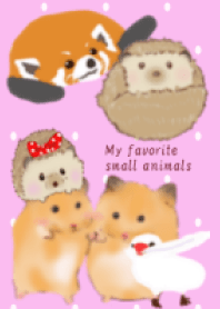 My favorite small animals
