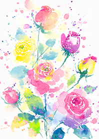 Beautiful rose flower(R4172)