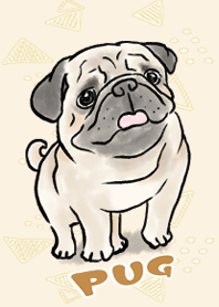 Let's be healed by a cute pug