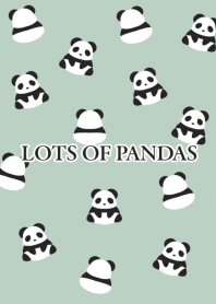 LOTS OF PANDAS/DUSTY GREEN